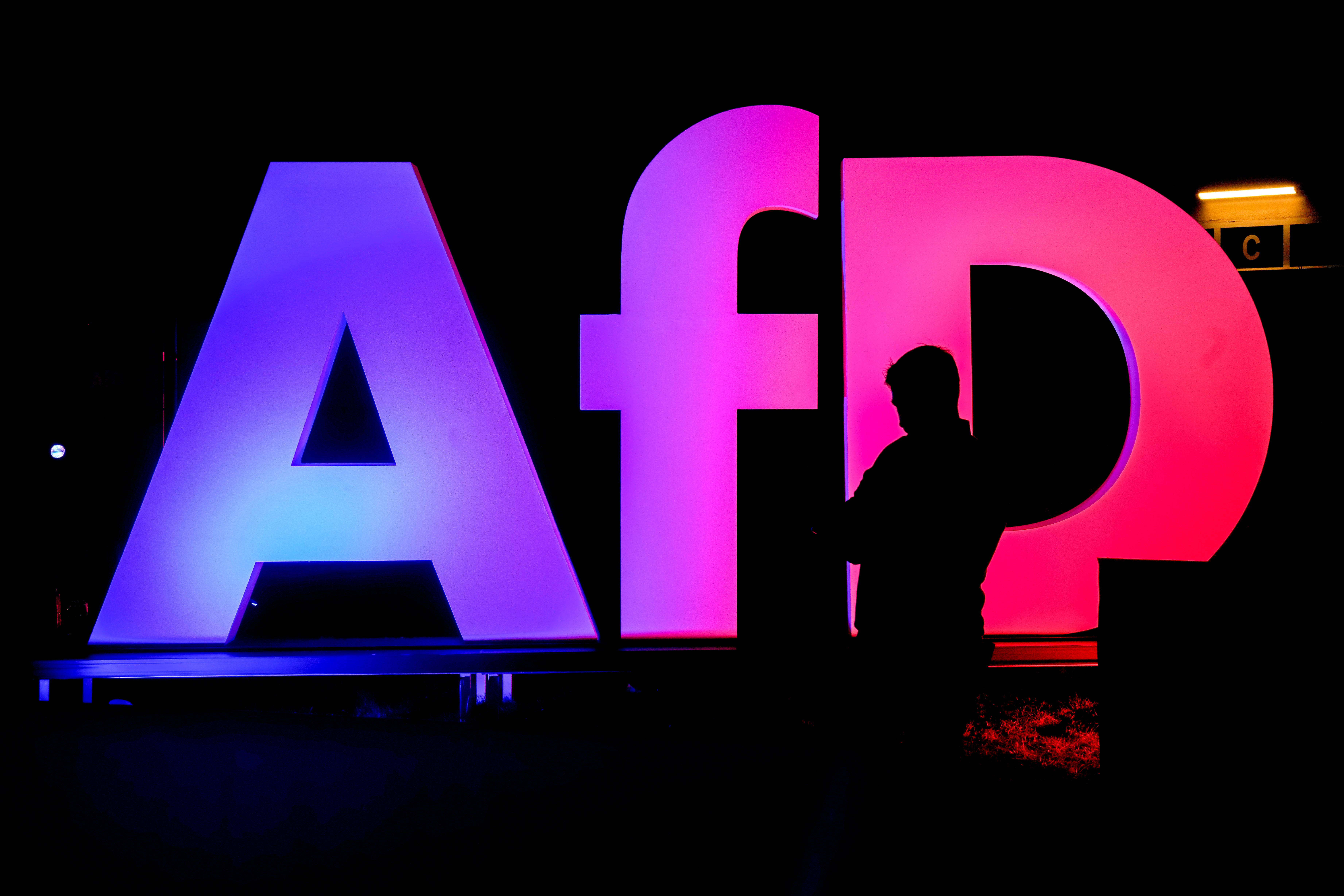 AfD has grown to be the second biggest party in Germany, coming second in the general election in February