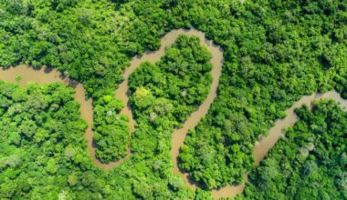 I trekked Earth's second-largest rainforest to meet one of our closest ancestors