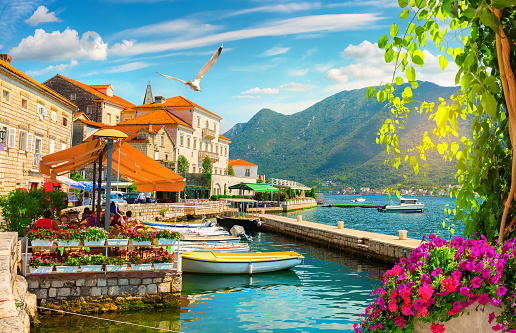 A stunning view of the Bay of Kotor in Montenegro, with boats in the sea and flowers in the foreground.