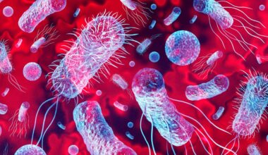 New Bacteria Have Been Discovered on a Chinese Space Station