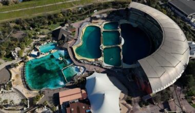 Stranded orcas, dolphins left in rotting tanks in closed French marine park