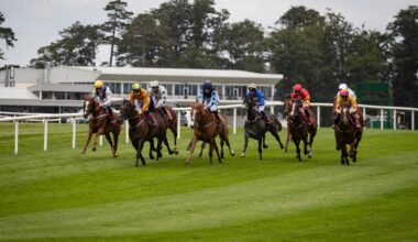 Wednesday's Gowran Park plays with 12/1 shot