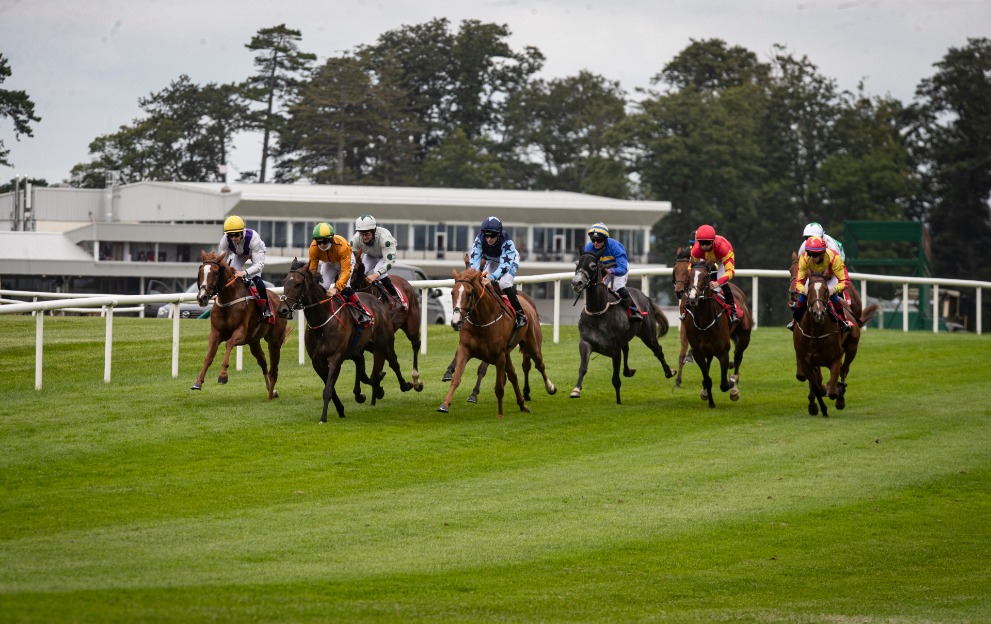Wednesday's Gowran Park plays with 12/1 shot