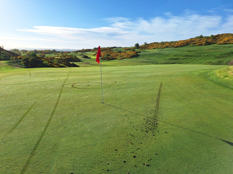 Golf course green with flag and tire tracks.