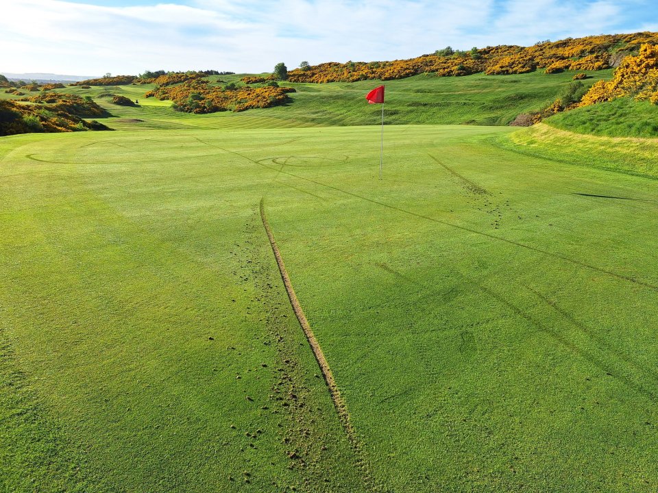 Golf course green with flag and tire tracks.