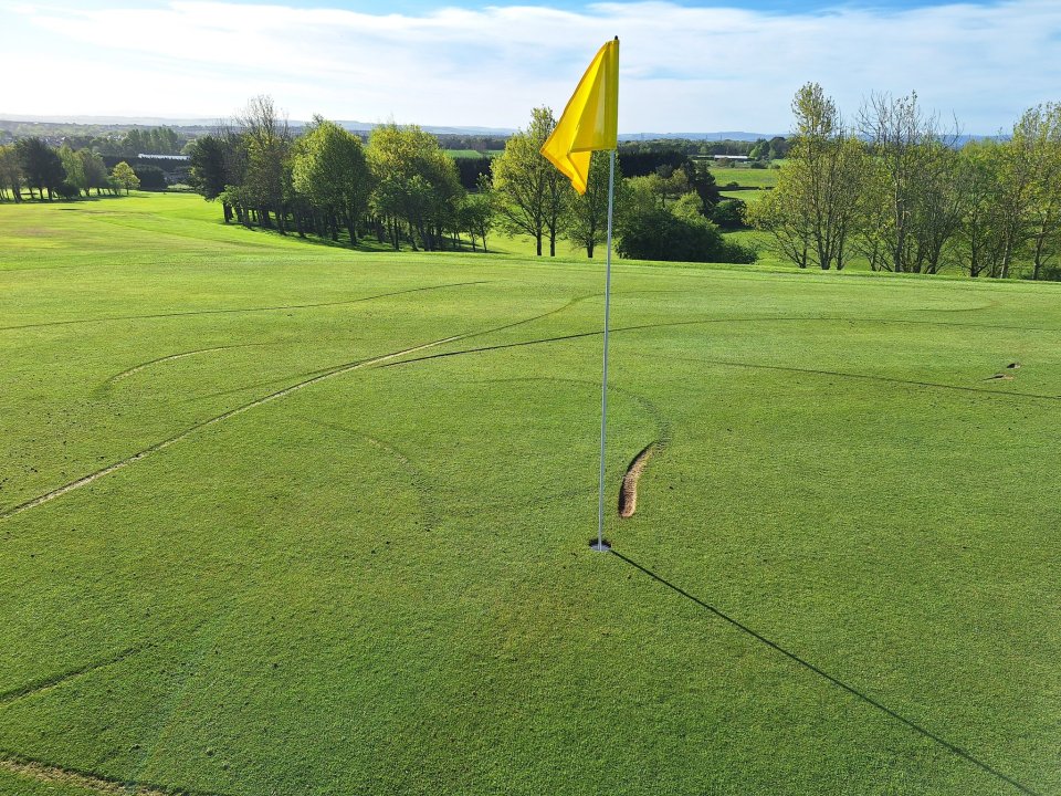 Golf course green with flag.