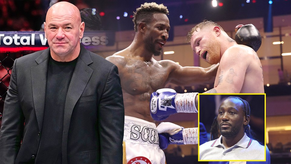Romero said UFC CEO White will not tolerate Canelo's approach to boxing