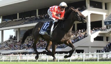 Racing superstars promise music and words for top Kiwi trainers