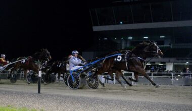 Horse racing: Young trotter has the power to keep winning at Alexandra Park