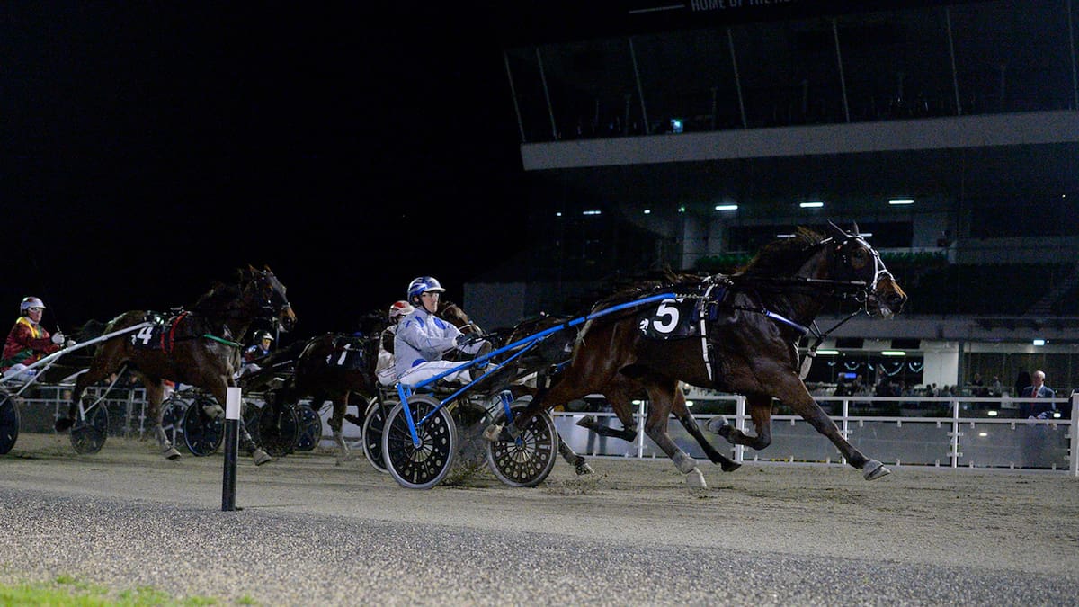 Horse racing: Young trotter has the power to keep winning at Alexandra Park