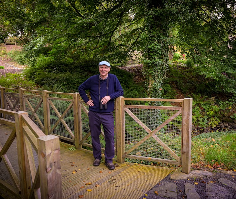 Paul Clements spent a year in the woodlands of Montalto Estate, outside Ballynahinch, Co Down, as he recovered from surgery