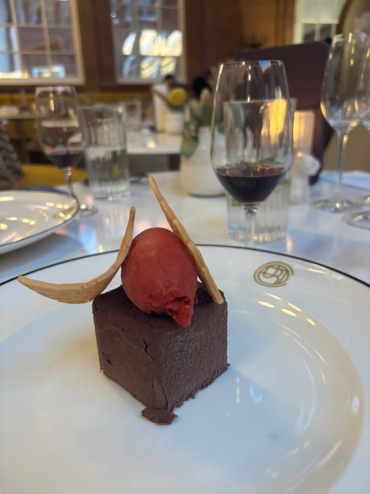 Chocolate dessert with sorbet and crackers.