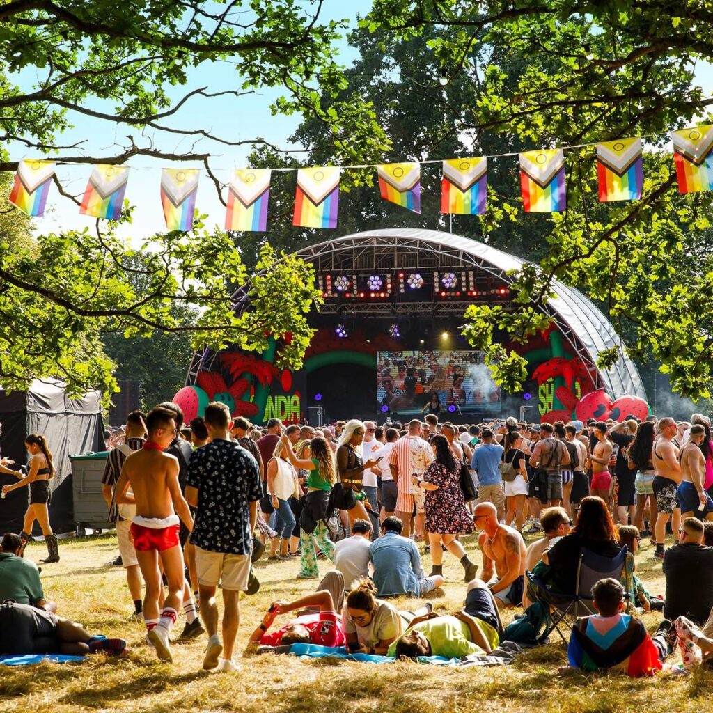 A crowd in a field enjoying a sunny afternoon in front of a stage, rainbow LGBT flags are flying, it looks peaceful and calm, yet fun.