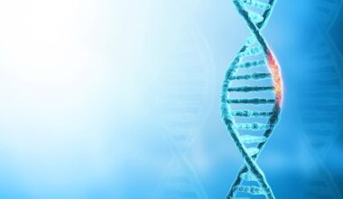 How your genes interact with your environment changes your disease risk − new research counts the ways