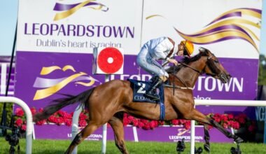 A 12/1 shout leads Leopardstown bets tonight