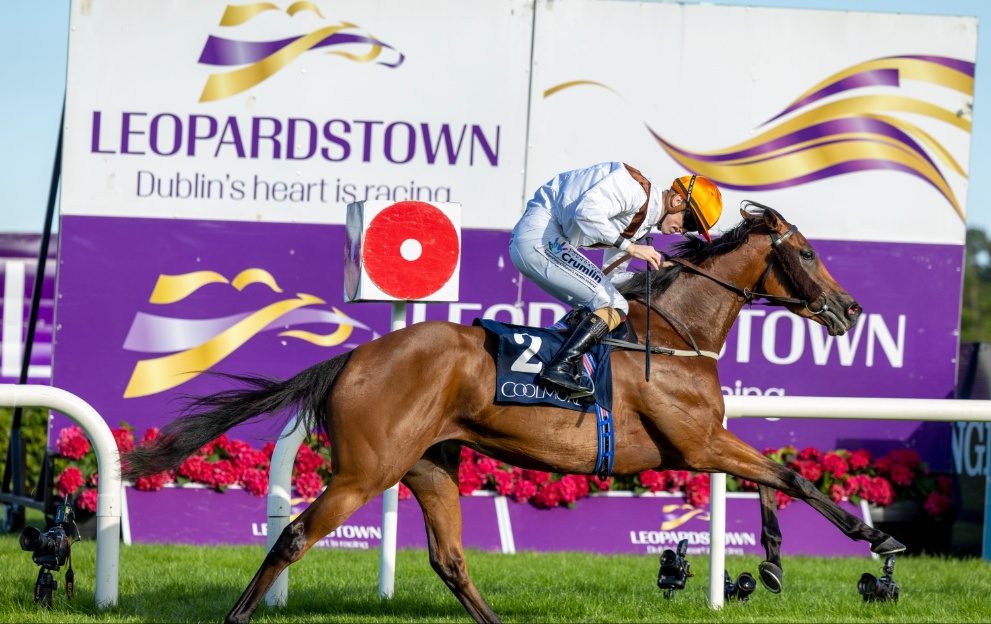 A 12/1 shout leads Leopardstown bets tonight