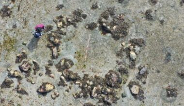 'Hugely Significant' Stone Circles in Scotland Suggest Early Human Arrival : ScienceAlert
