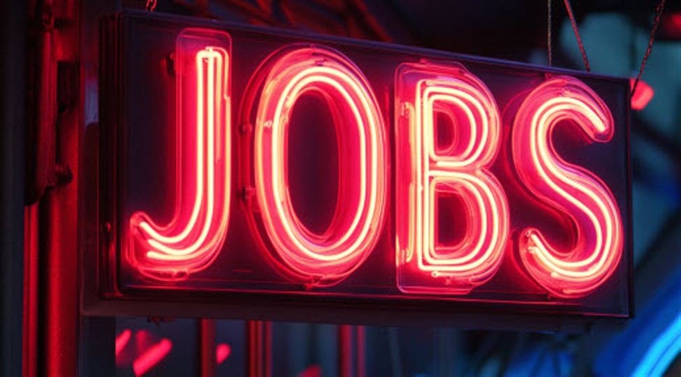 New Zealand employment report, Unemployment rate 5.1% vs. 5.3% expected - Forexlive | Forex News, Technical Analysis & Trading Tools