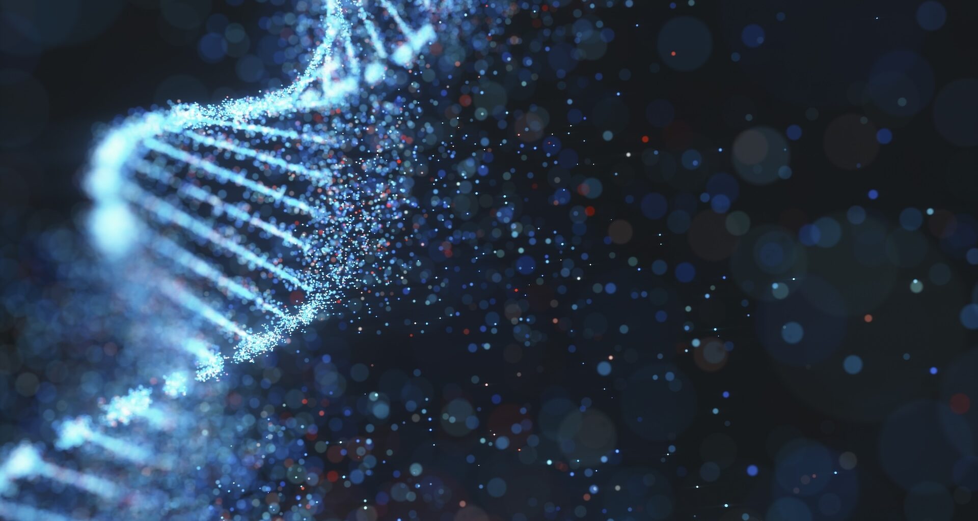 an illustration of DNA