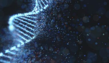 an illustration of DNA