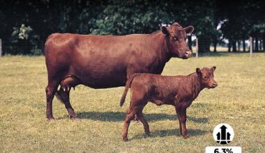 Animal Genetics Market