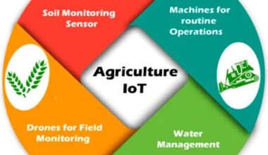 Internet of Things (IoT) in Agriculture Market