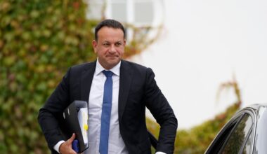 The EU needs to ‘grow a bit of backbone’ and stand up to Israel – The Irish Times