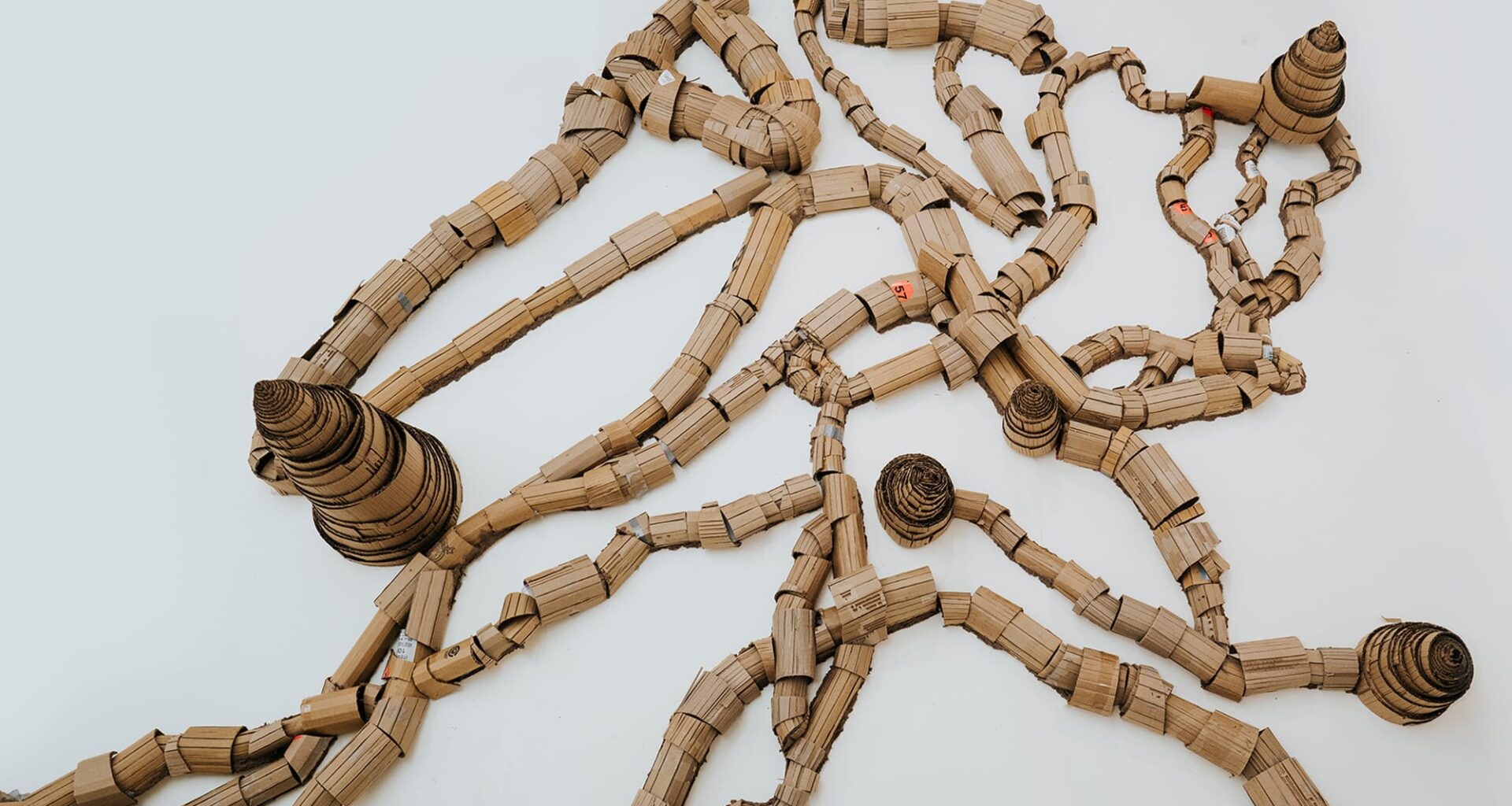 Sprawling sculpture made of cardboard roles meant to look like wood or ant hills and the tunnels that connect them.