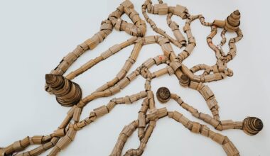 Sprawling sculpture made of cardboard roles meant to look like wood or ant hills and the tunnels that connect them.