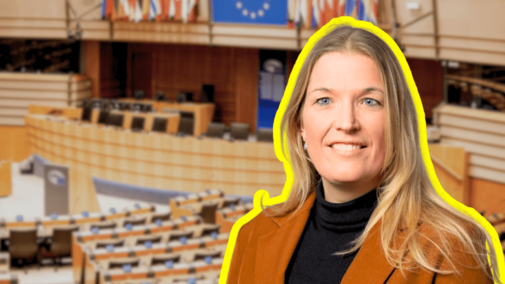 Gradual Integration, Lasting Impact? The Future of EU Enlargement ⋆ Visegrad Insight