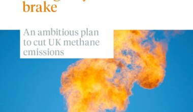 an ambitious plan to cut UK methane emissions » Green Alliance