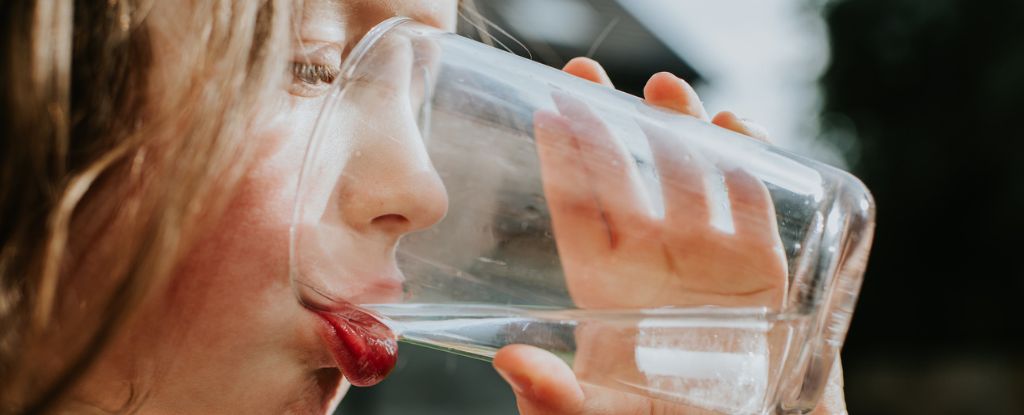 Microplastics Persist in Drinking Water Despite Treatment Plant Advances : ScienceAlert