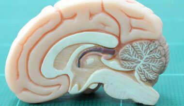 Molecular psychiatrist redefines the genetic basis of neurodevelopmental conditions