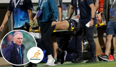 Noah Lolesio boost for Joe Schmidt after Wallabies star's terrifying ordeal : Planet Rugby