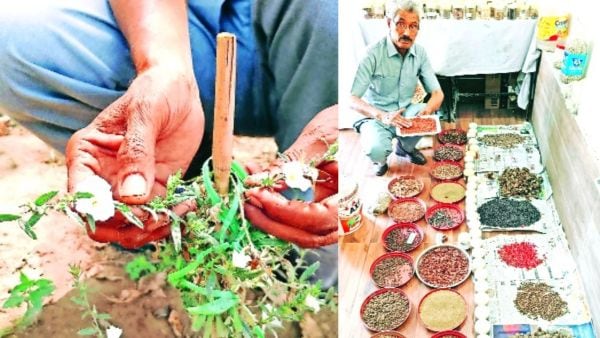 Om Parkash, Herbal garden, 100 spices, Chandigarh