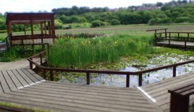 Rodley Nature Reserve issues plea over tadpoles