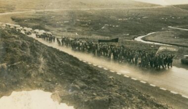 The Selma, Alabama and Derry, Northern Ireland Connection 1963-1972 by Forest Issac Jones – The Irish Times