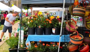 Turriff set to host first North Scotland Garden Show
