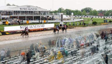 Pimlico Race Course is going to be razed. Go now while you still can.