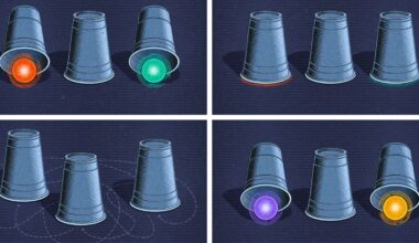 The Quest to Prove the Existence of a New Type of Quantum Particle