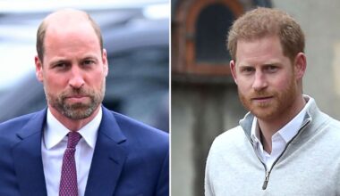 Prince William Reflects on Grief Amid Prince Harry Rift