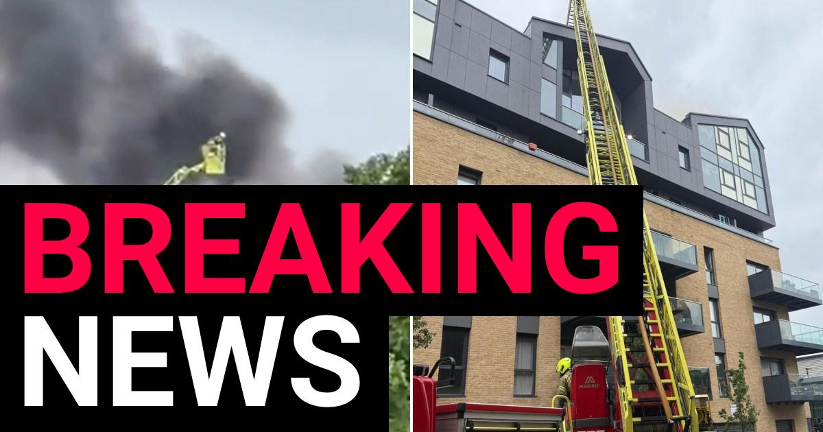 Huge fire at block of flats in east London with woman and baby treated at scene | News UK