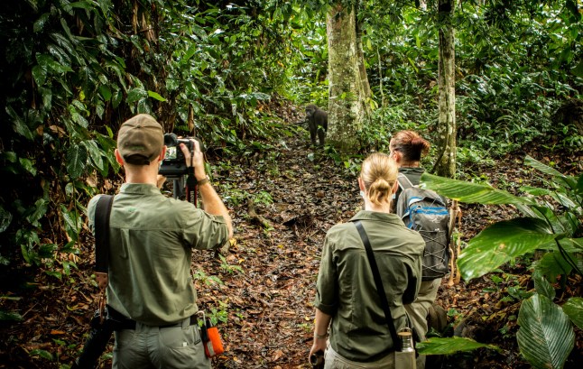 Press image of / from Ngaga Lodge
