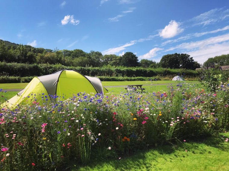 Pencelli Castle Caravan & Camping Park in Powys (Photo: Supplied)