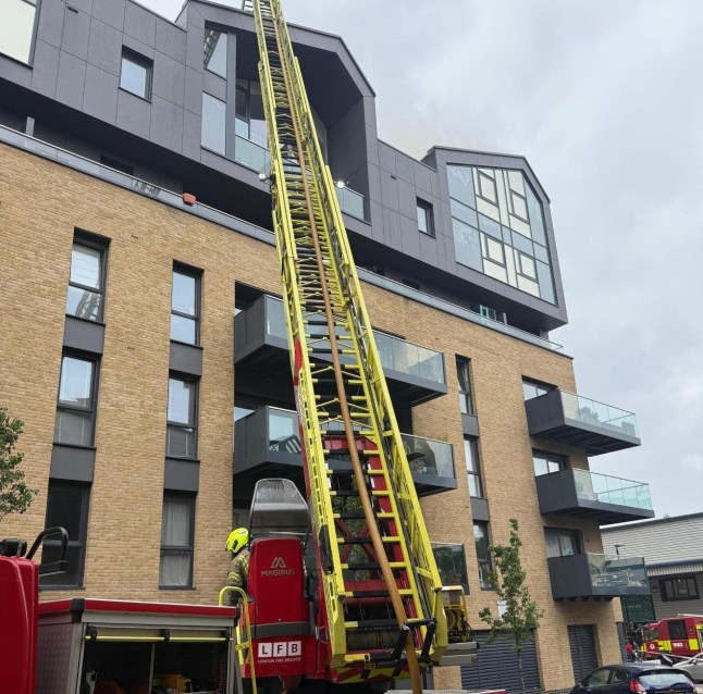 Ladder on flats.