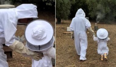 Meghan Markle gives rare glimpse of Lilibet while wearing beekeeping suits | News UK
