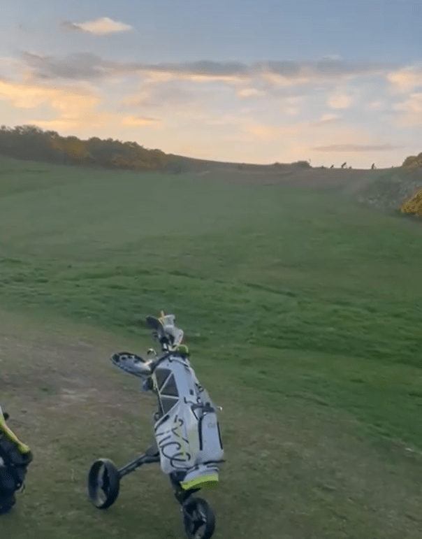 Golf cart on a golf course.
