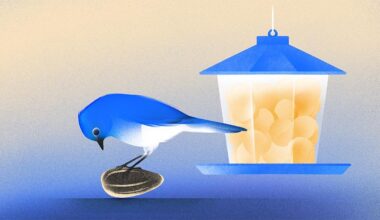 Looking Back 10 Years, Seed Investors Envisioned A Different Future Unfolding