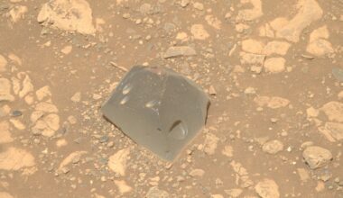 NASA Perserverance Rover Snaps Photo of 'Skull' on Mars