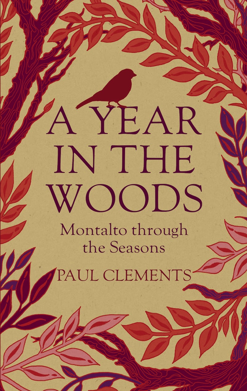 A Year in the Woods by Paul Clements